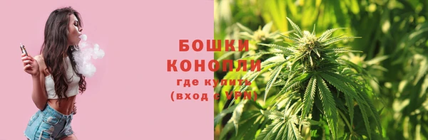 шишки Остров