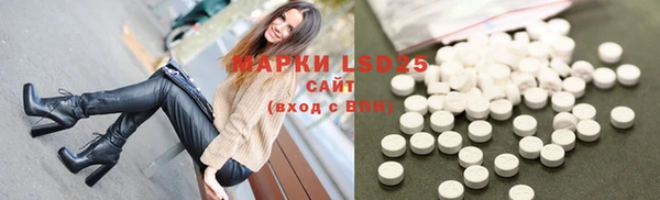 PSILOCYBIN Осинники