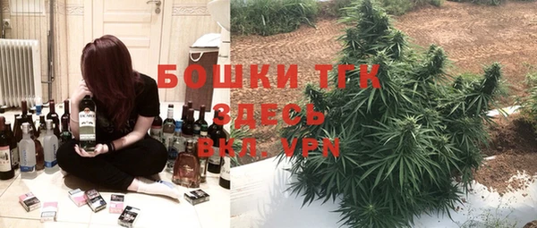 молекула духа Болотное