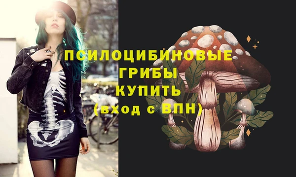 шишки Остров