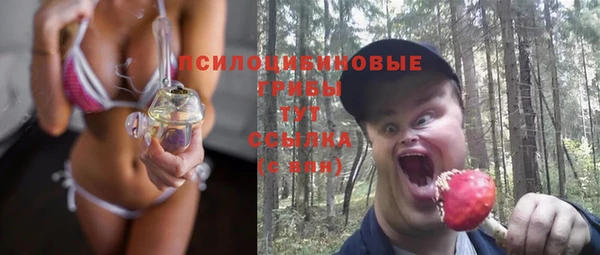 шишки Остров