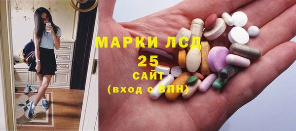 PSILOCYBIN Осинники