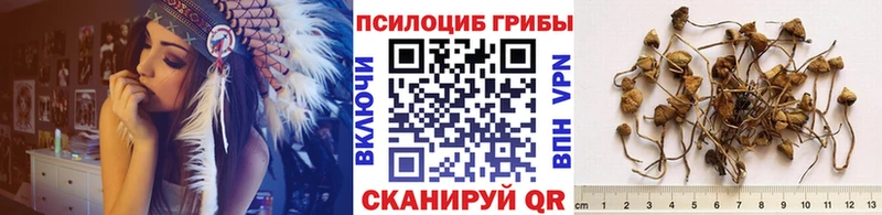 Псилоцибиновые грибы MAGIC MUSHROOMS  Камбарка 